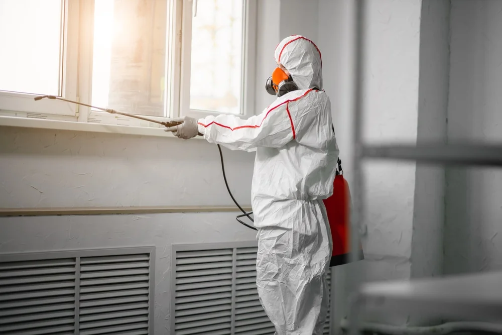 Professional mold remediation services in De Berry, TX